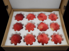 �P(gu��n)��ˮ���\ݔ���b����Ҫ������Щ��