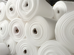 �����ތ����w�Ƿ��к���