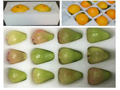 �����ރ�(n��i)�r�đ�(y��ng)�È�������Щ��